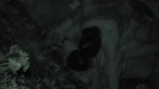 Voyeur Porn Videos
