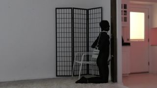 Mega Collection tease