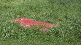 Online Porn outdoor